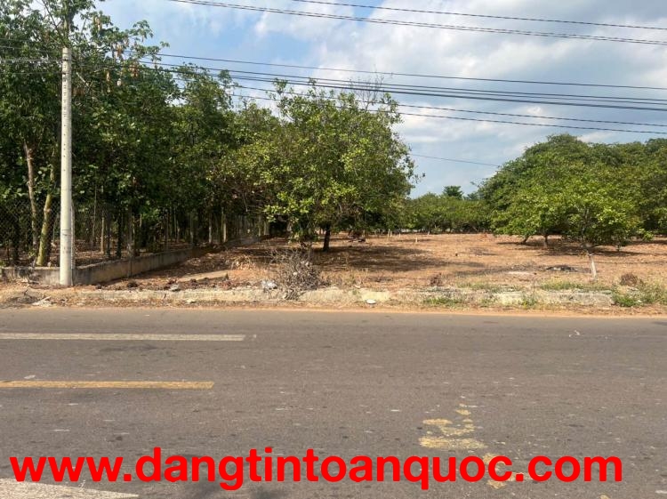 Bán đất Mt Nhựa Xuân Hiệp-Tân Tiến, Xuân Lộc. Đồng Nai. Giá 3.25ty. Lh 0984488048.