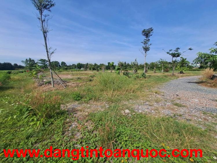 CHỦ NGỘP BÁN GẤP 2 LÔ ĐẤT NHỊ BÌNH – ĐƯỜNG XE TẢI – GIÁ CỰC TỐT