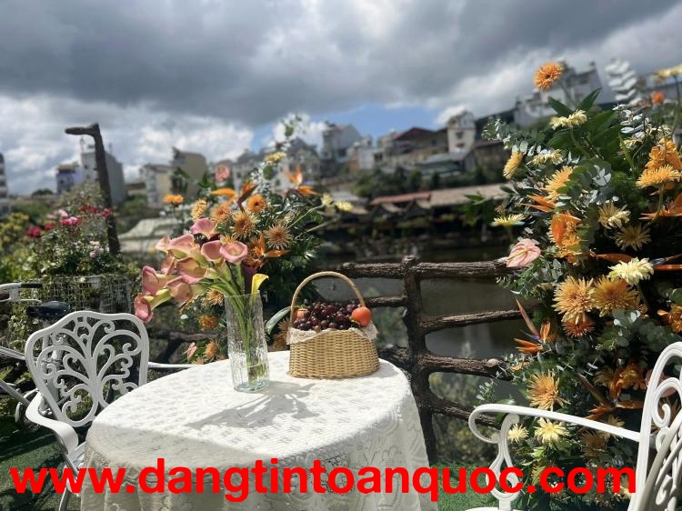 CHỦ SẮP XUẤT CẢNH NÊN CẦN SANG NHƯỢNG GẤP VƯỜN NHO VIEW HỒ – KINH DOANH NGAY TẠI Đà Lạt