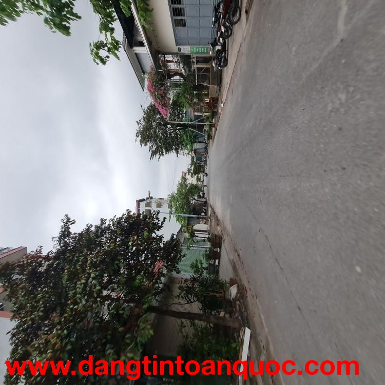 ???? 234m2 KĐG 31ha Trâu Quỳ Gia Lâm MT 12m đường 15m giá 3x tỷ ???? 0989894845