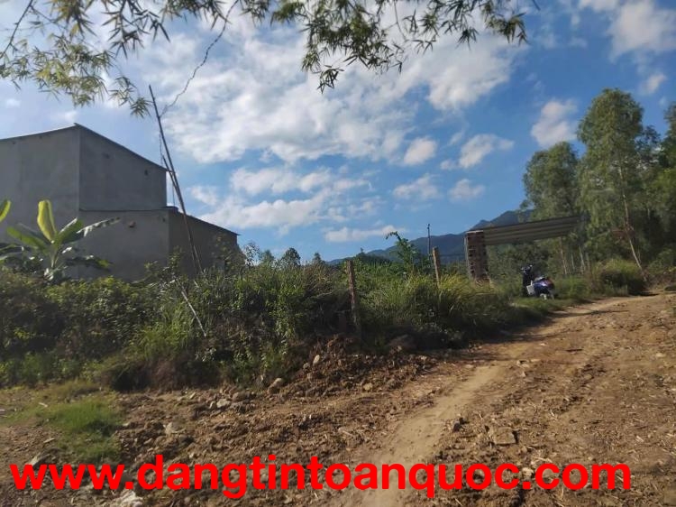 CHÍNH CHỦ BÁN ĐẤT VƯỜN TẠI NINH LỘC, NINH HÒA, KHÁNH HÒA