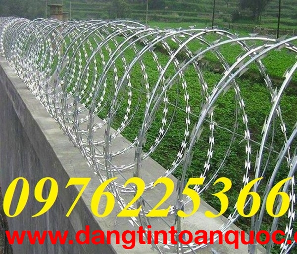 Dây thép gai chống trộm