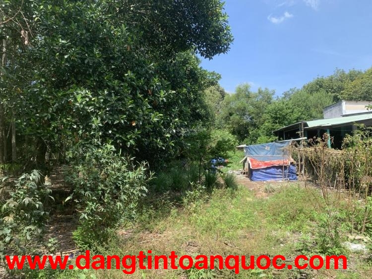 CHÍNH CHỦ BÁN ĐẤT 554m² – LONG NGUYÊN (HỒ CHÍ MINH MỚI) – GIÁ TỐT