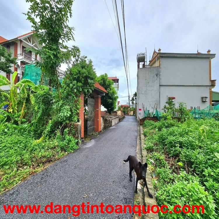 Bán đất 60m2 Thuận An, Hà Nội, mt 4m ngõ rộng gần trục chính ???? 0989894845