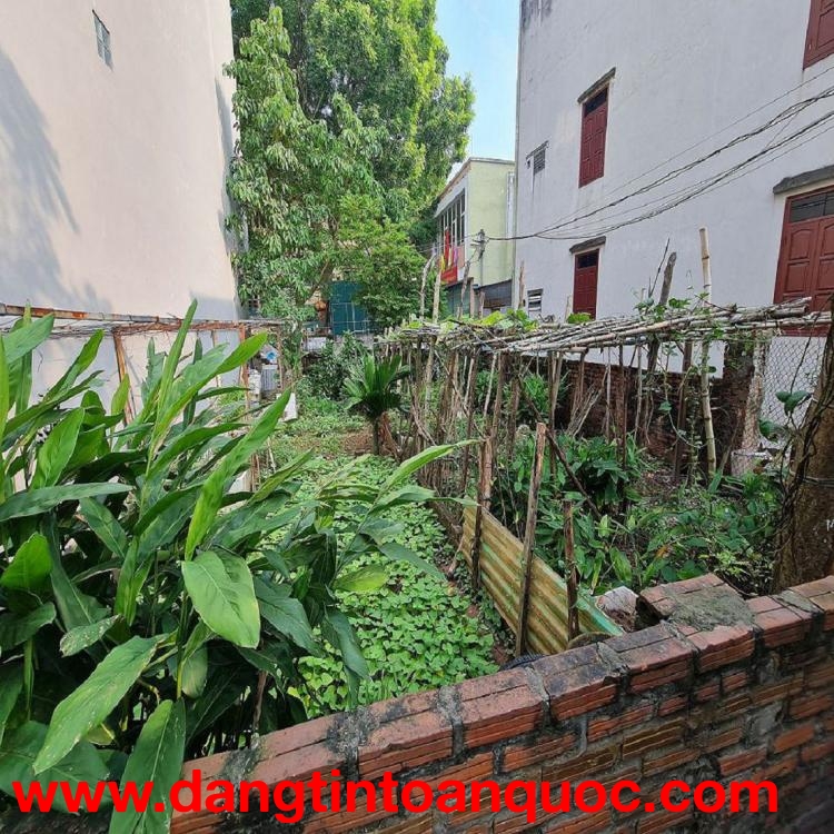 58m2 Thuận An Gia Lâm mt 4m ngõ rộng gần trục chính chỉ 3 tỷ ???? 0989894845