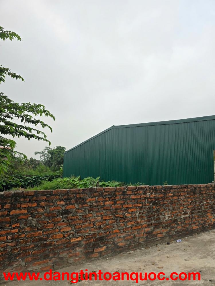 ► CHÍNH CHỦ CẦN BÁN GẤP – KHO XƯỞNG MỚI TINH, XE CONT ĐỖ CỬA