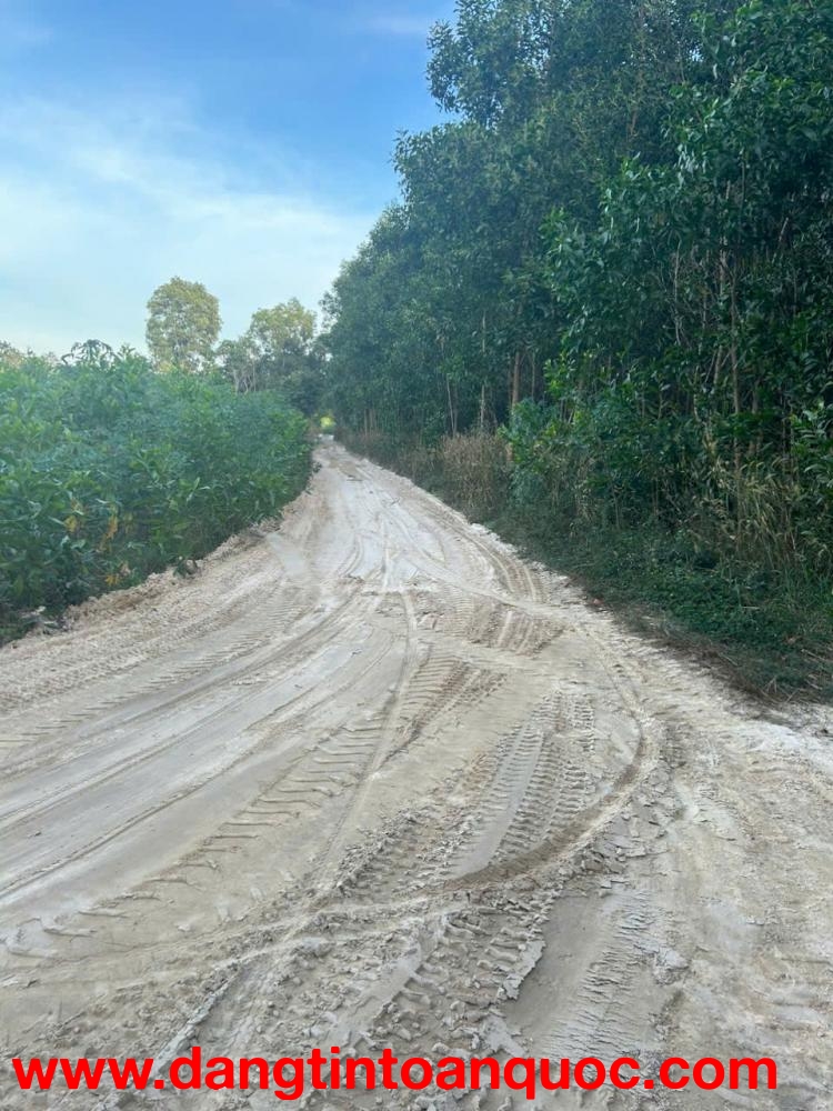 Bán 4.5 sào hẻm Cù Chính Lan - LaGi giá rẻ quy hoạch SKC