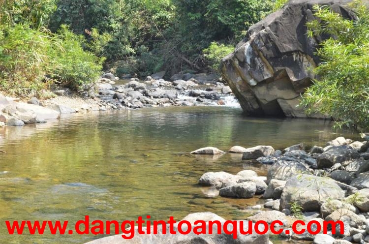 HOT HOT HOT –CHÍNH CHỦ CẦN BÁN ĐẤT Đường Quốc Lộ 20, Xã Đạ Huoai 2 (mới), H.Đạ Huoai (cũ), Lâm Đồng