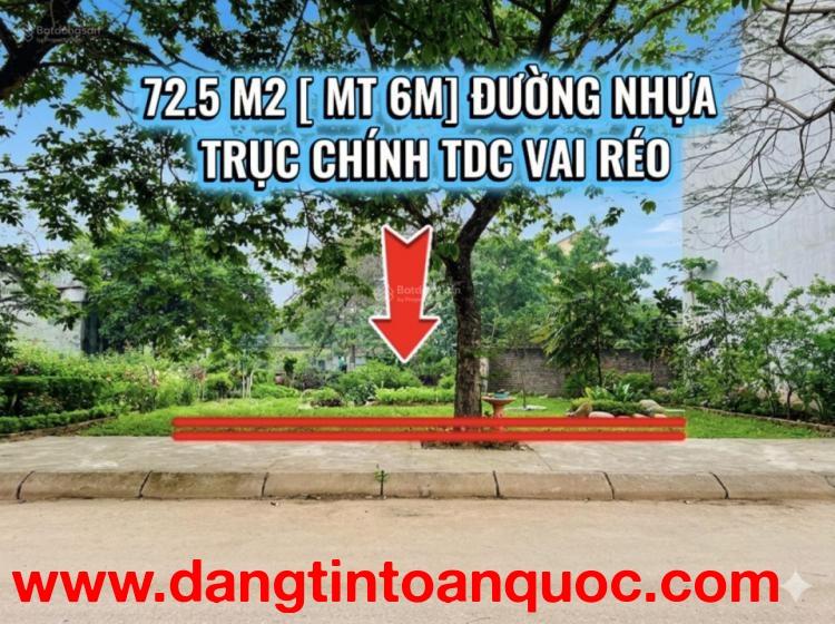 100M2 [ Mặt tiền 6M] ĐƯỜNG NHỰA TRỤC CHÍNH TĐC VAI RÉO