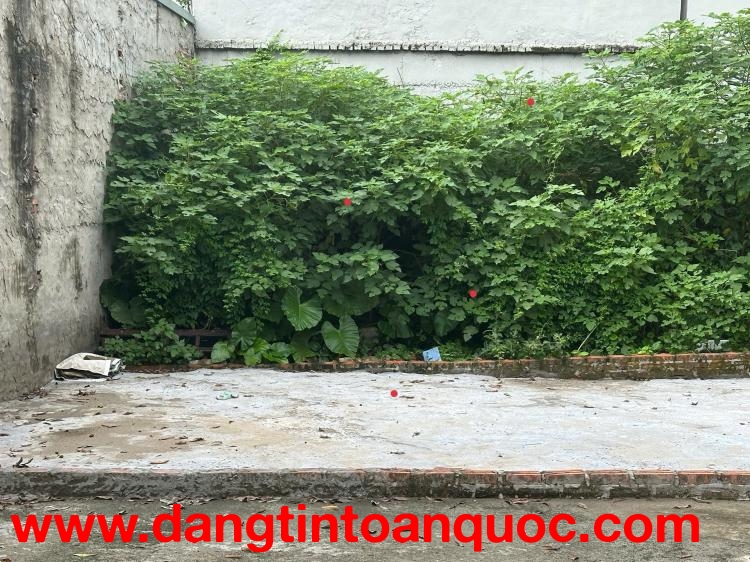 BÁN ĐẤT DƯƠNG ĐỨC HIỀN DT 65M2 VÀI BƯỚC RA CHỢ DÂN SINH TRƯỜNG HỌC VUÔNG VẮN GIÁ HƠN 2 TỶ