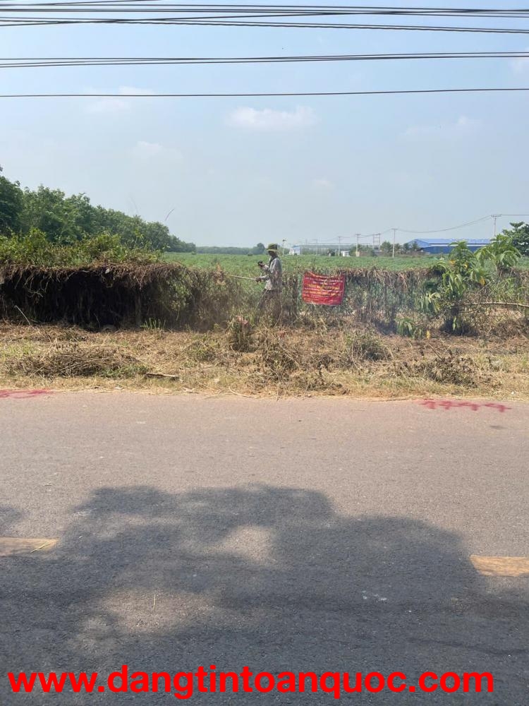 ►  BÁN ĐẤT NGAY ĐƯỜNG DH617 – GIÁ F0 CHƯA QUA ĐẦU TƯ