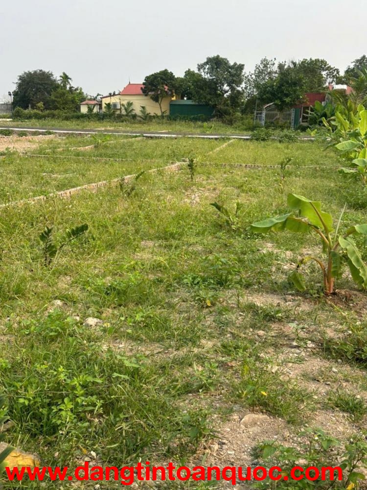 ► CHÍNH CHỦ BÁN ĐẤT ĐẸP – NGHĨA SƠN, NAM ĐỒ SƠN, HẢI PHÒNG