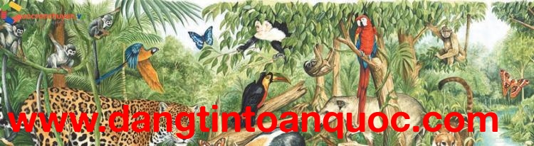 Danh Sách Hàng Hóa Thuộc Diện Kiểm Dịch Động Vật