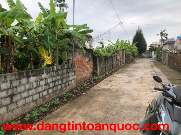 CHÍNH CHỦ CẦN BÁN ĐẤT THÔN THỦ CHÍNH -XÃ NAM CHÍNH-TIỀN HẢI -THÁI BÌNH