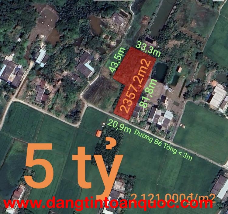 Bán lô đất lúa xã Tân Trụ giá 5  tỷ