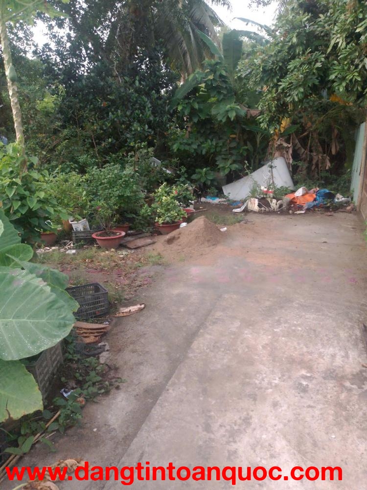 CƠ HỘI SỞ HỮU ĐẤT ĐẸP TP. VĨNH LONG – GIÁ CỰC TỐ