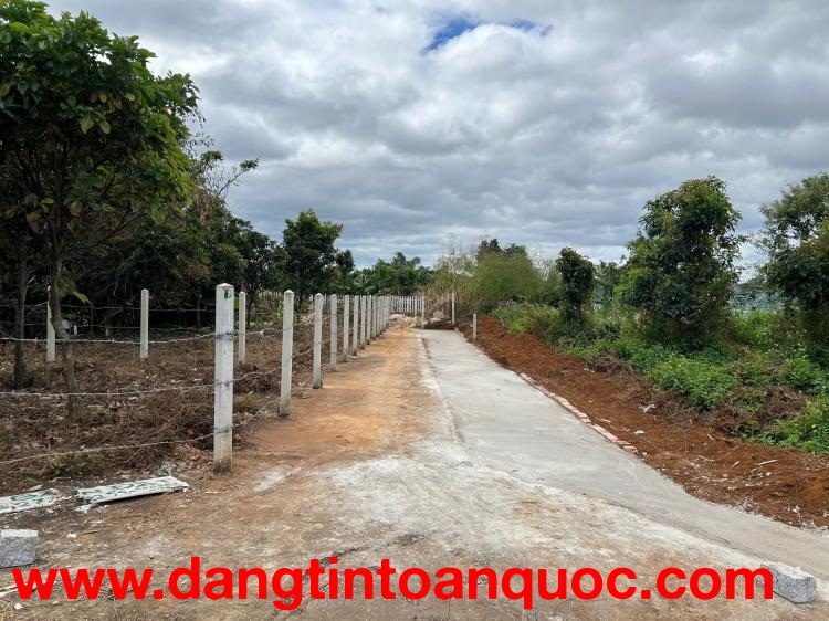 CHÍNH CHỦ BÁN ĐẤT FULL THỔ CƯ TẠI TÀ NUNG, ĐÀ LẠT , LÂM ĐỒNG