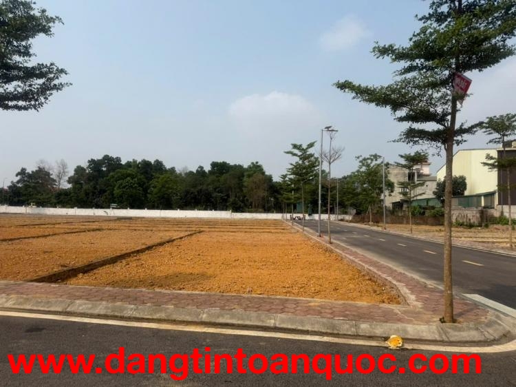 Bất ngờ với giá lô đất sát ĐHQG có thể xây kinh doanh ngay tạiHòa Lạc