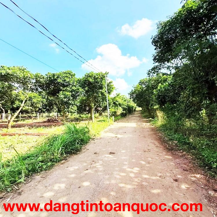 CHỈ 890 TRIỆU 121mv  ĐẤT THỔ CƯ, SỔ RIÊNG  NGAY NGÃ 3 ÔNG PHÚC, BẢO VINH, ĐN.