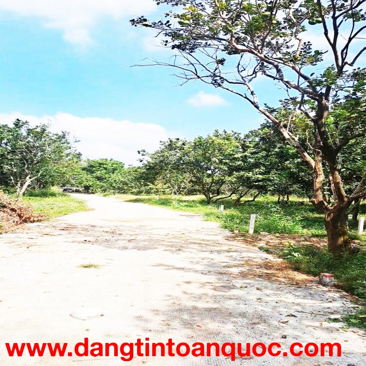 CHỈ 216Tr/m MẶT TIỀN BÊ TÔNG GẦN THCS LÊ A, KCN LONG KHÁNH, P. BÌNH LỘC, ĐN