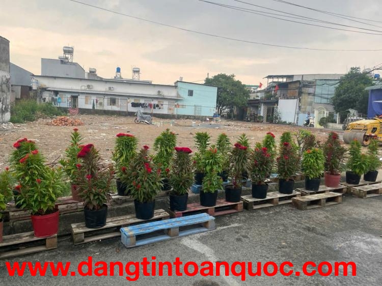 CHỈ 4 NỀN DUY NHẤT NHỰA ĐÔNG THẠNH VỊ TRÍ ĐẸP – GIÁ 3.75 TỶ