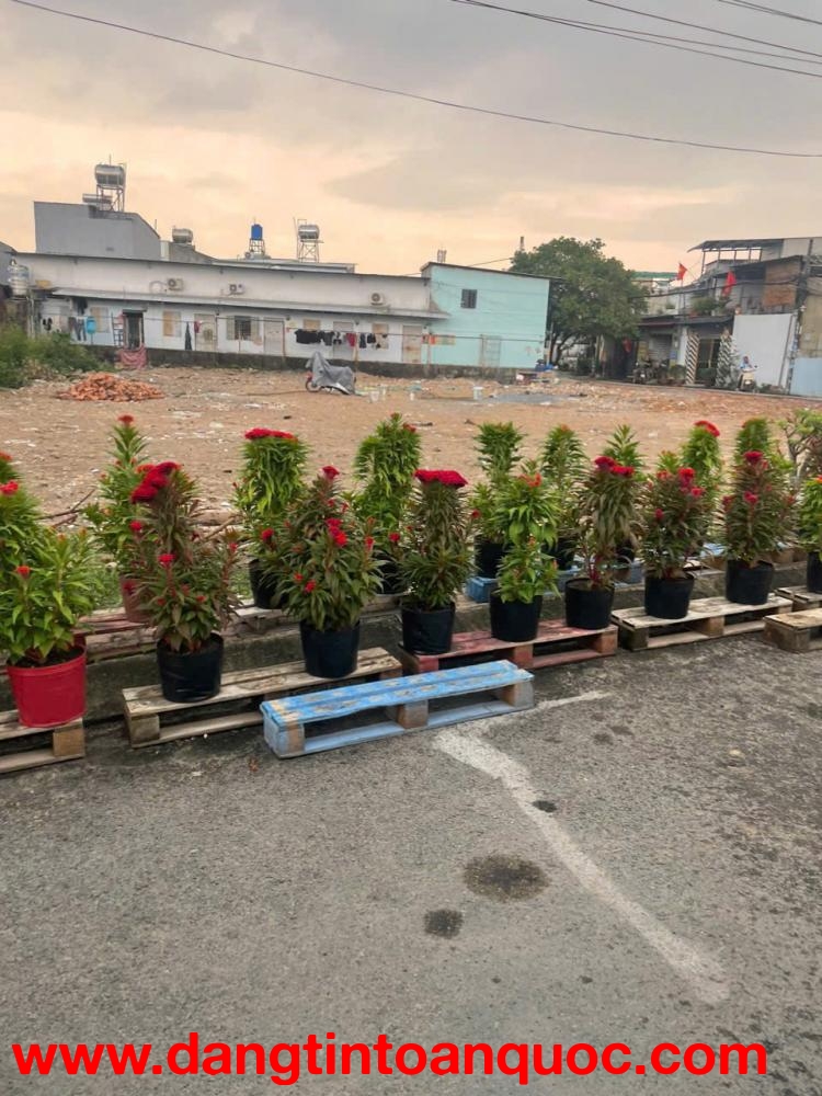 HÀNG FO MỚI RA LÒ ĐẤT 125m MT GIÁ CHỈ 3.75 TỶ – QUÁ HIẾM