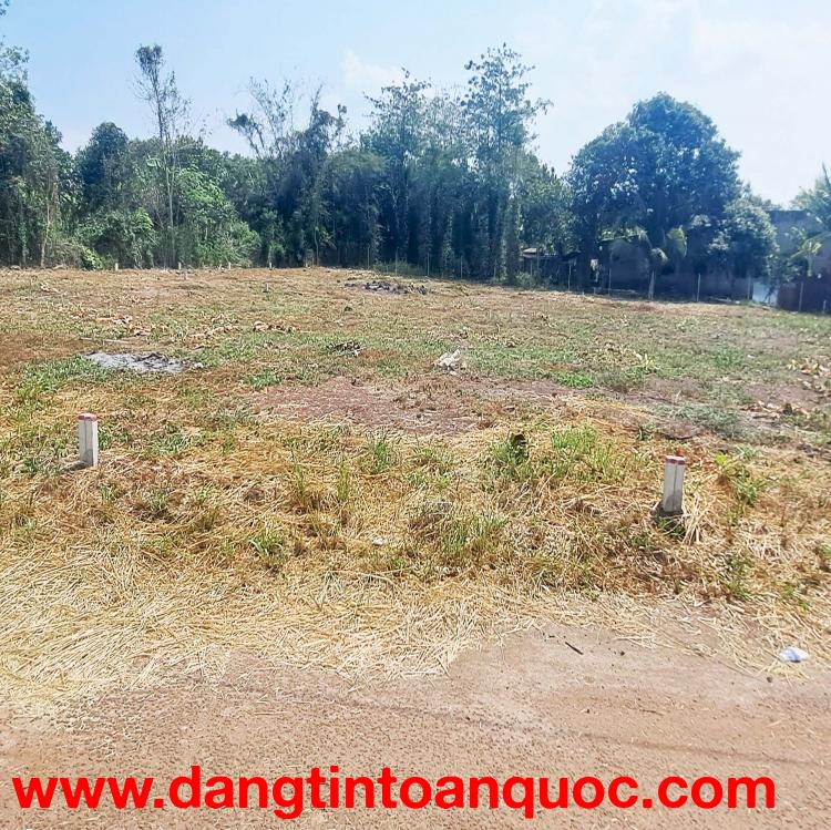 5m×25m 2 MẶT TIỀN  TP LONG KHÁNH, ĐN  NGAY TRƯỜNG HỌC MN đến CẤP 3  GIÁ CHỈ 790Tr