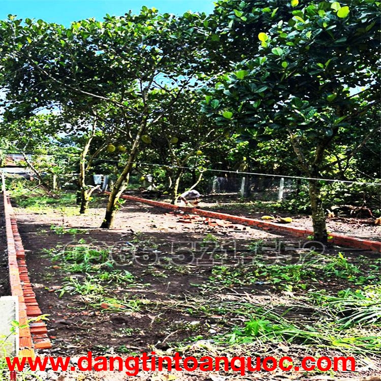 210m² THỔ CƯ, NGAY CHỢ HÀM NGHI – TP LONG KHÁNH – ĐN. CƠ HỘI X2,3 TÀI SẢN.