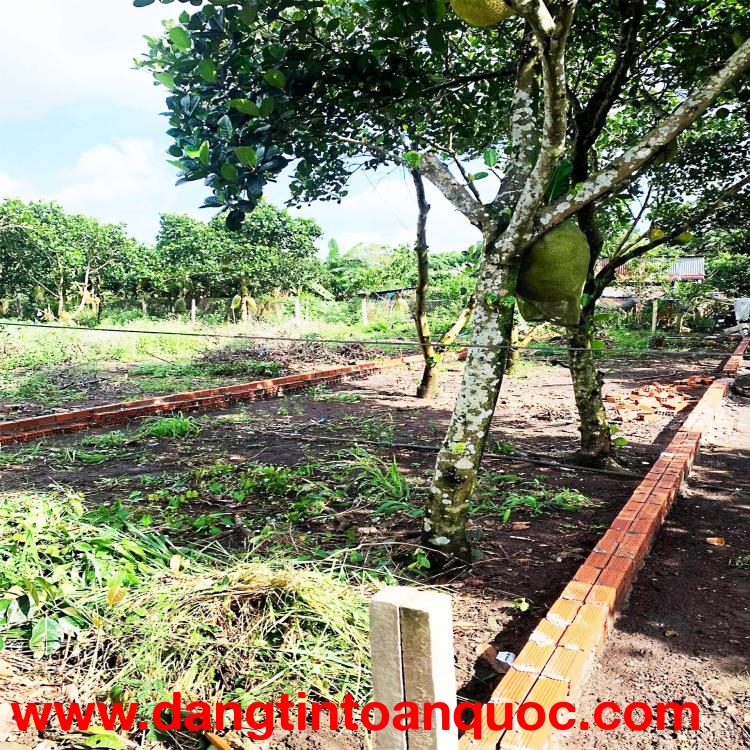 121m2 NGAY DỐC ĐỒN, P BẢO VINH, LONG KHÁNH, ĐN. GIÁ CHỈ 890Tr