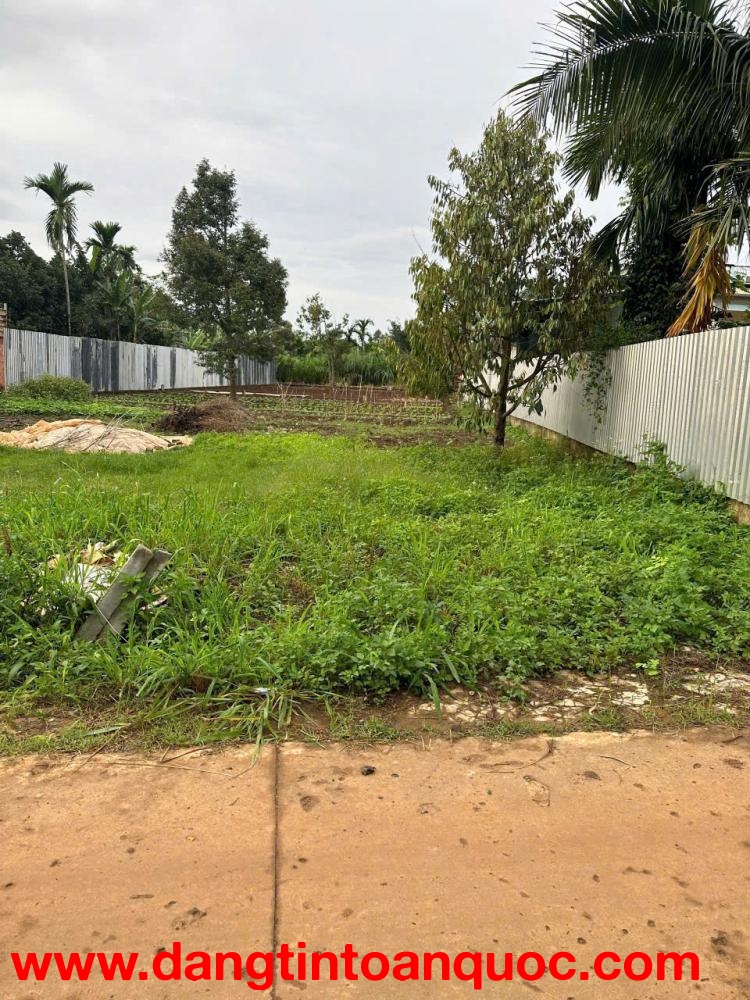 BÁN ĐẤT GIÁ TỐT – CƠ HỘI ĐẦU TƯ HẤP DẪN - THÔN 85 - TỈNH ĐẮK LẮK