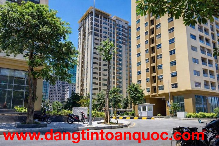 XE BEN SHACMAN CABIN ĐẦU LỆCH 385HP CUMMINS – CHUYÊN TRỊ MỌI ĐỊA HÌNH 