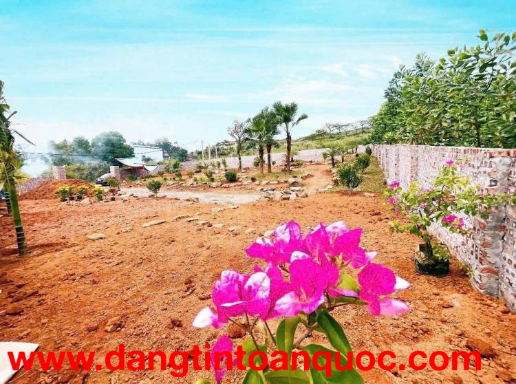 sở hữu ngay gần 1.000m² đất tại đô thị vệ tinh Hòa Lạc