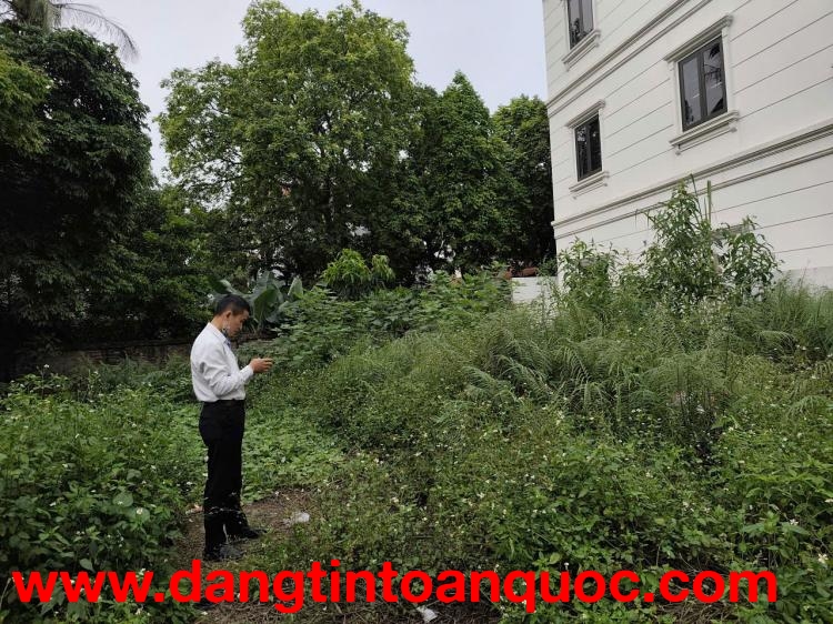 VĂN BÌNH THƯỜNG TÍN NGÕ THÔNG TỨ PHÍA GIÁ ĐẦU TƯ CHỈ HƠN 4 TỶ