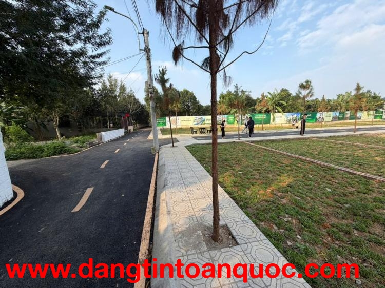 THANH KHOẢN GẤP LÔ ĐẤT RẺ HƠN LÔ BÊN CẠNH 300tr - HÒA LẠC