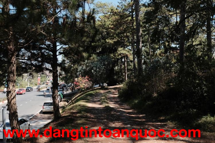 Chính chủ cho thuê 1 phòng studio tại Him Lam, Quận 7 – dọn vào ở ngay