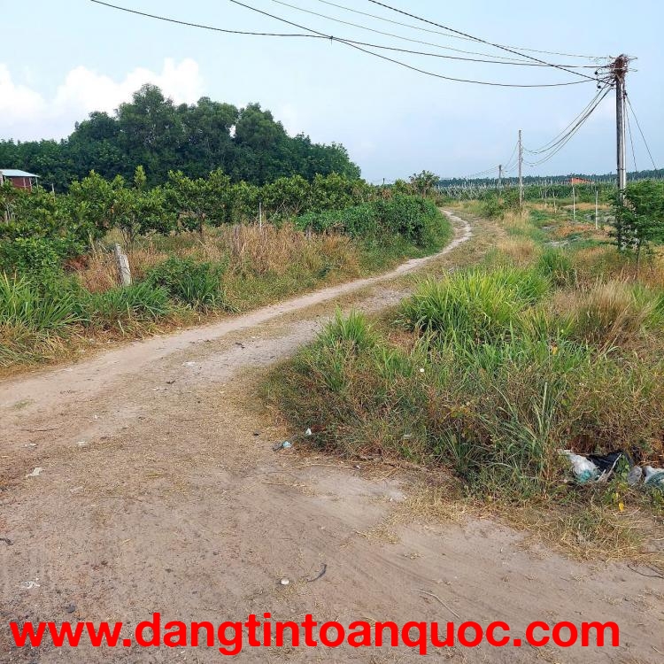 CHÍNH CHỦ CẦN BÁN LÔ ĐẤT CÓ VỊ TRÍ ĐẸP TẠI XÃ TÂN HƯNG - H. TÂN CHÂU - TỈNH TÂY NINH