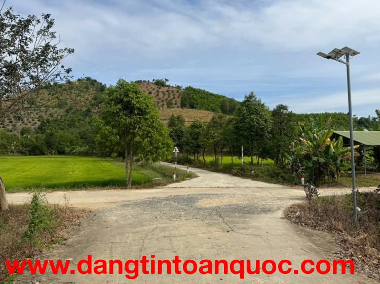 ĐẤT ĐẸP – GIÁ TỐT – CHÍNH CHỦ CẦN BÁN Tại Tiên Hoàng, H. Cát Tiên, T. Lâm Đồng