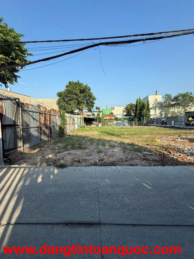 GẤP LÔ ĐẤT ĐẸP (5x25) THỚI TAM THÔN – HẠ NGAY 200 TRIỆU – GIÁ CHỈ 5.2 TỶ