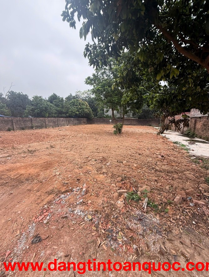 CHÍNH CHỦ bán đất tiềm năng - Thắng Hữu, Kim Anh, Hà Nội - Cơ hội đầu tư không thể bỏ lỡ