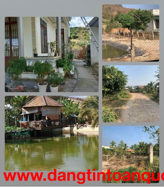 BÁN GẤP NHÀ VƯỜN TÂN VĂN LÂM HÀ LÂM ĐỒNG HAI MẶT TIỀN ĐƯỜNG OTÔ TRÁNH NHAU