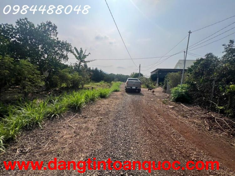 Bán vườn 3216m2, Xuân Phú, Xuân Lộc. Đồng Nai. Giá 1,8 ty. Lh 0984488048.