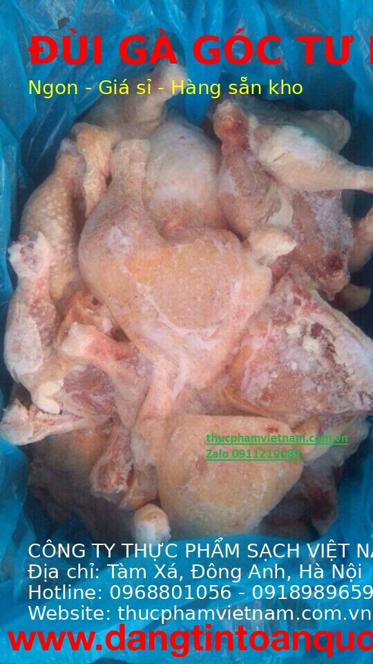 Gà góc tư đông lạnh – Hàng sẵn kho, giao nhanh