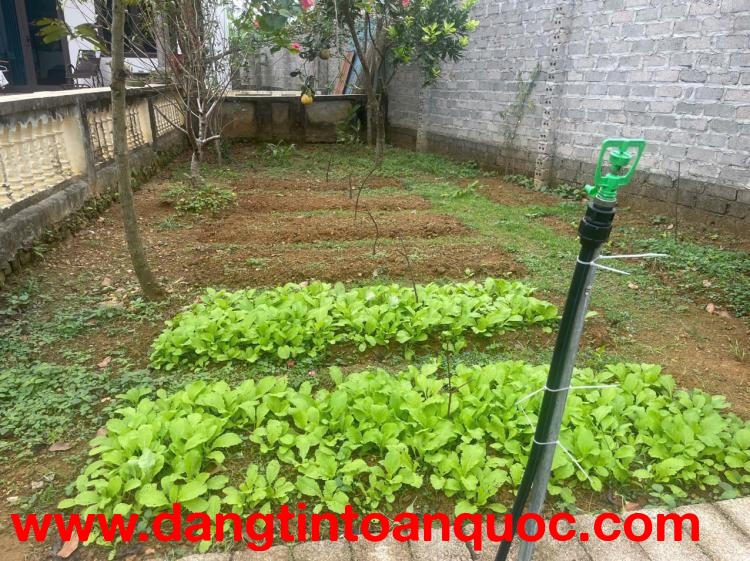 CHÍNH CHỦ BÁN GẤP – NHÀ VƯỜN HƠN 800m² – GIÁ NHỈNH 7 TỶ