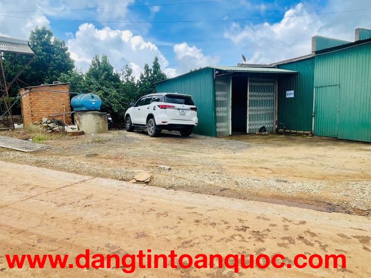TÀI SẢN 2 MẶT TIỀN ĐƠN DƯƠNG – DÒNG TIỀN CÓ SẴN