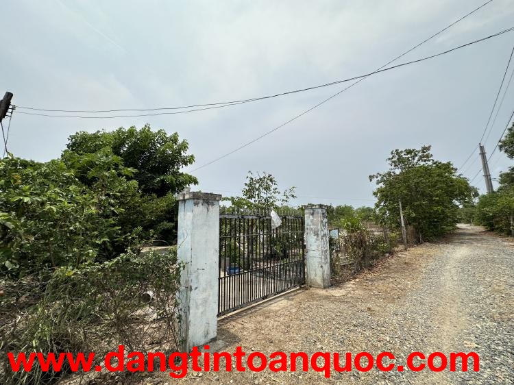 Bán gần 3.5 sào đất 2 mặt đường bê tông, Tân Phước, LaGi gái mềm