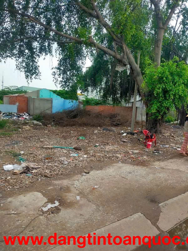 SIÊU PHẨM 3MT NGUYỄN VĂN BỨA – 2.617M² – ĐƯỜNG CONTAINER – GIÁ CHỈ 33 TỶ