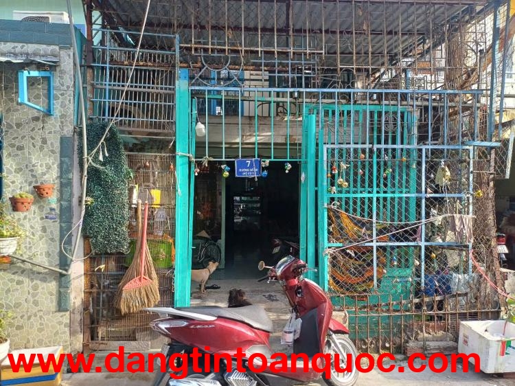 BÁN ĐẤT TẶNG NHÀ CẤP 4 – GIÁ TỐT