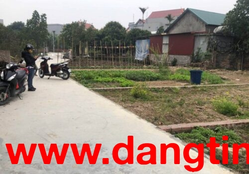 Chính chủ cần bán nhanh lô đất xã Cổ Bi, huyện Bình Giang, Hải Dương