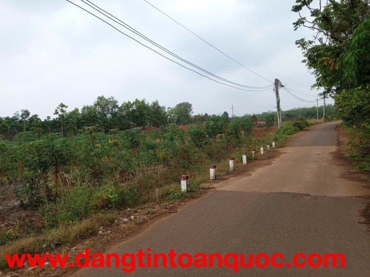 CHÍNH CHỦ BÁN NHANH LÔ ĐẤT GIÁ TỐT – SỔ RIÊNG – ĐƯỜNG NHỰA – PHÁP LÝ RÕ RÀNG