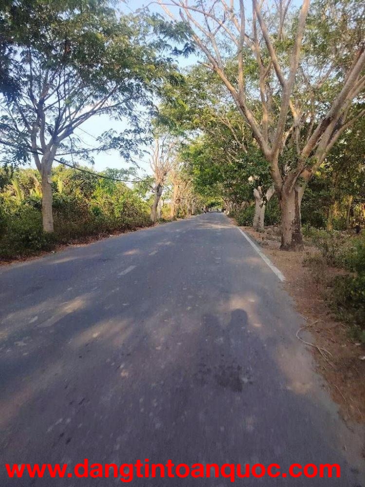 MẶT TIỀN XE TẢI NGAY NGÔ QUANG THẮM, NHÀ BÈ.